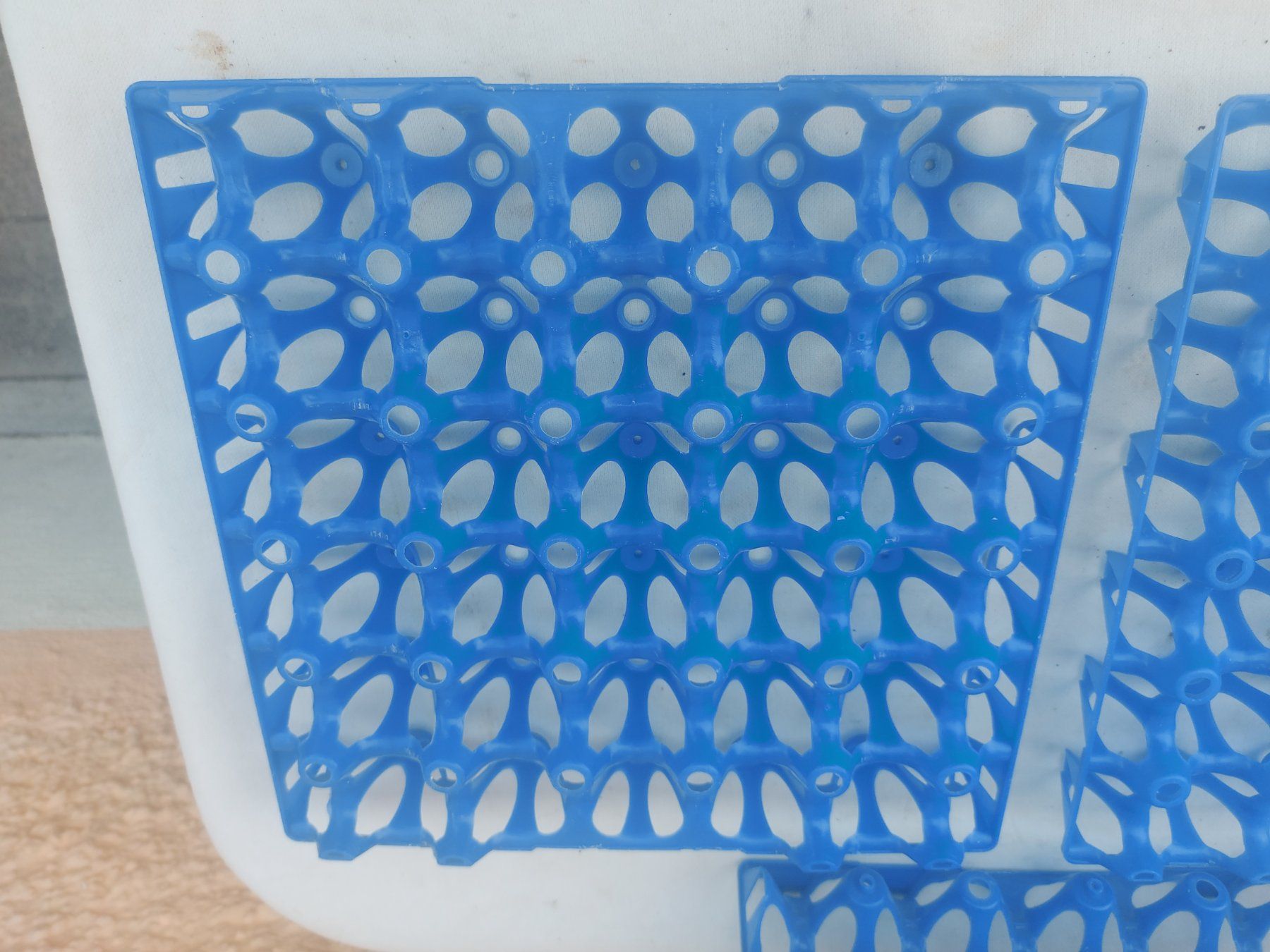 Küchengeräte: Blaue Kunststoff-Eierhorde;  Spülmaschinengeeignet 3er SET – Gebraucht aus Rheinau von profitronic.shop 2