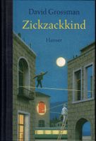 David Grossman - Zickzackkind (Roman, Hanser Verlag)