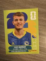 Panini Fifa BIH 19