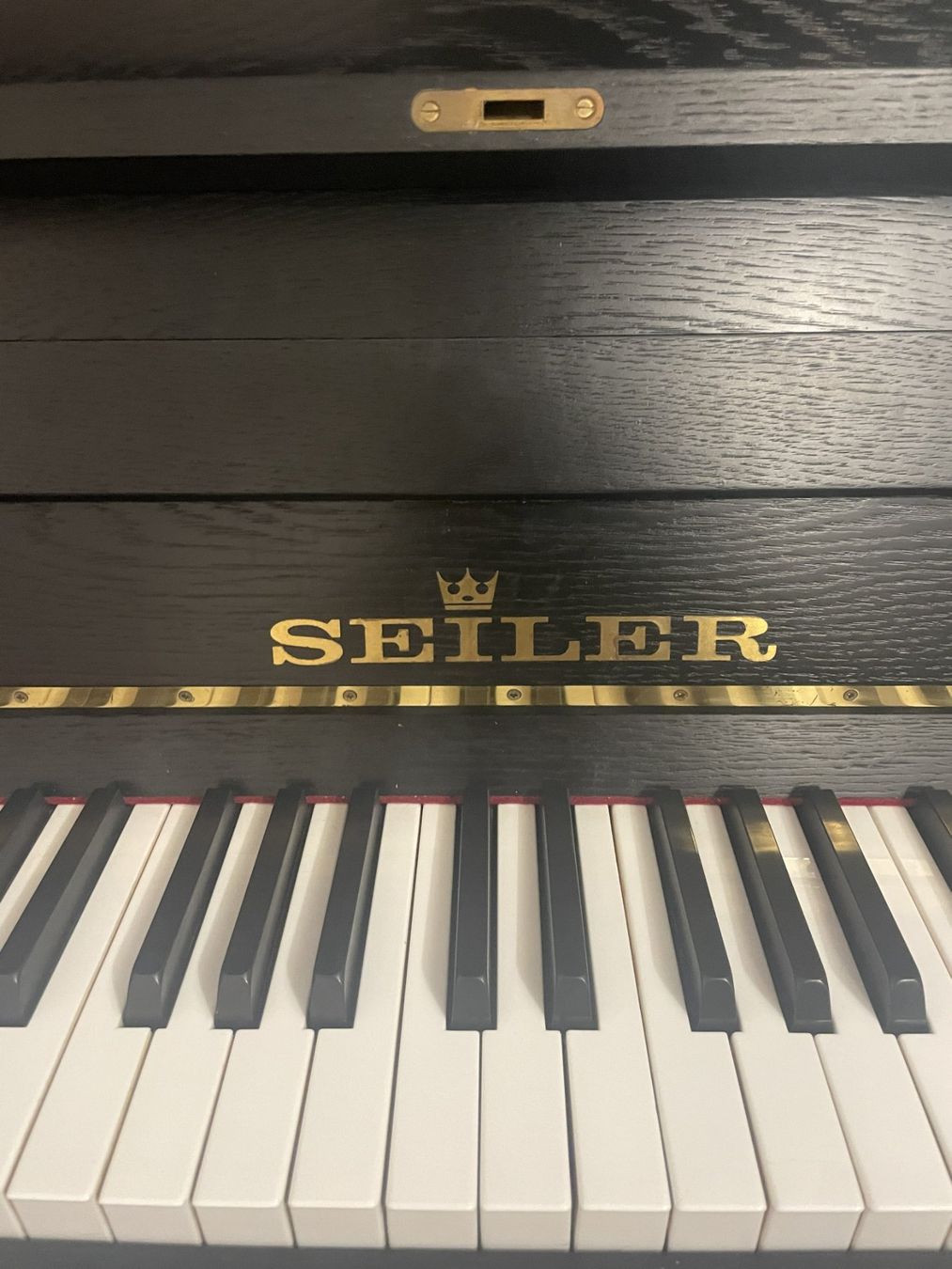 Strumenti musicali: Seiler Klavier – Usato da Hagendorn venduto da acconto