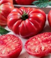 50 Samen Fleischiges Tomat MARMANDE