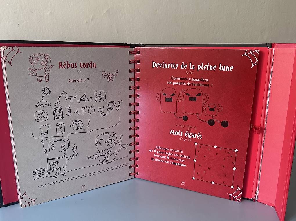 Libri: Livre d'énigmes  – Usato da Riex venduto da bonjour8 1