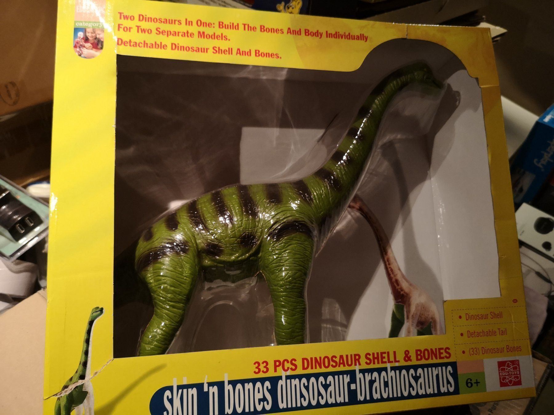 Giocattoli: Dinosaurier Large Skin 'n Bones Dinosaur Dino Brachio Saurus – Nuovo e nell'imballaggio originale da Kloten venduto da Euroasia 3