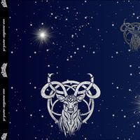Jersey "Star Deers" Hirsche Winternachtshimmel blau je m