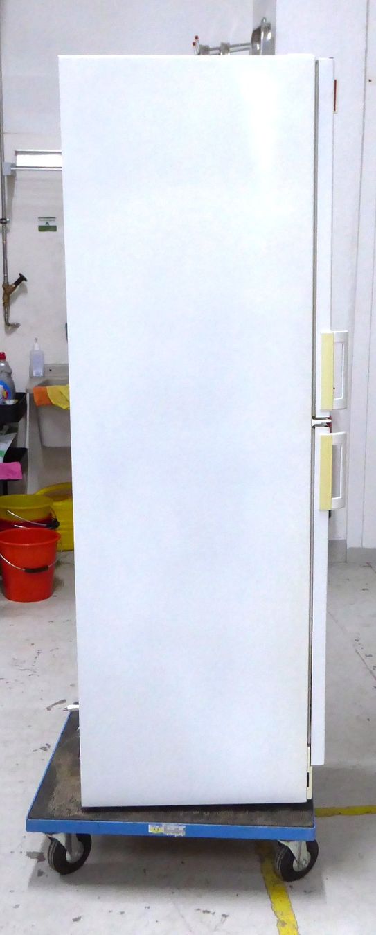 Electrolux Frigoriferi: ELECTROLUX Kühlschrank mit Gefrierschrank – Usato da Volketswil venduto da brockipfannenstil 2
