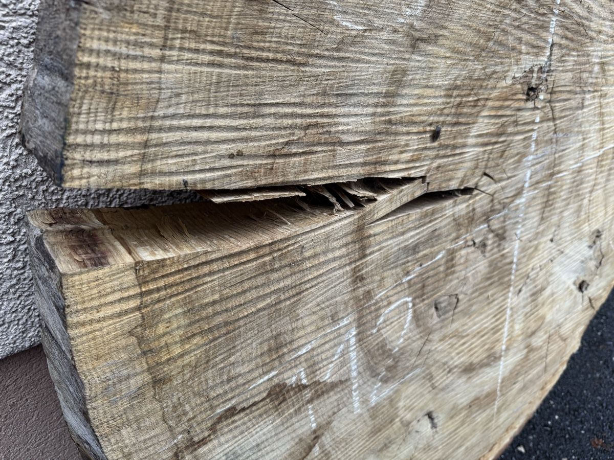 Articles en bois: Baumscheibe aus echtem Eiche Holz – D'occasion à Gränichen par onkel_xxl 6