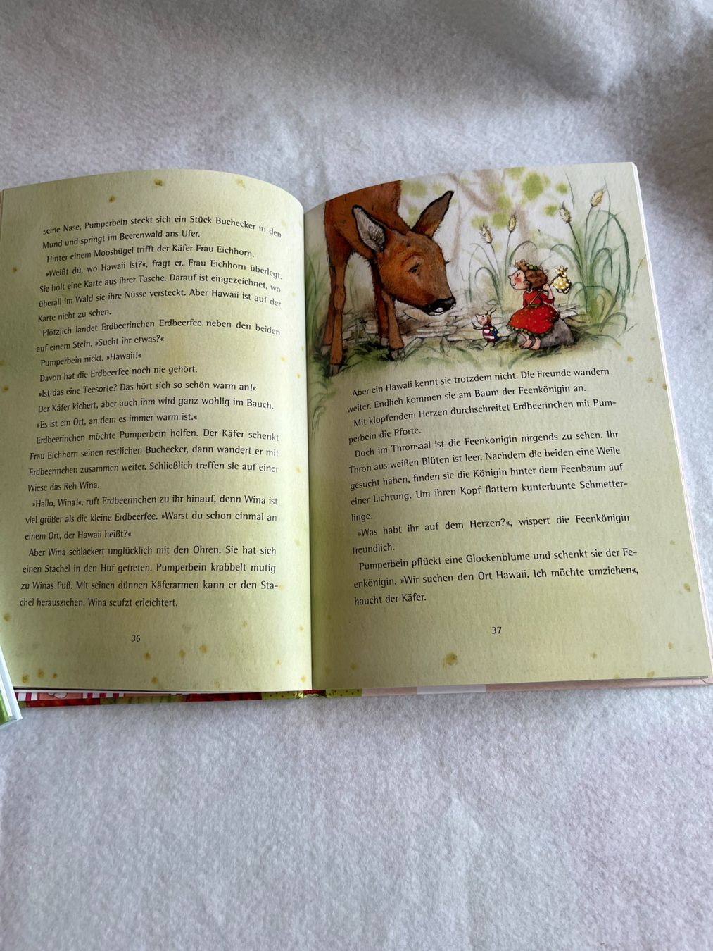 Bücher: Kinderbuch Erdbeerinchen Erdbeerfee – Neu (gemäss Beschreibung) aus Altendorf von herkules74 5
