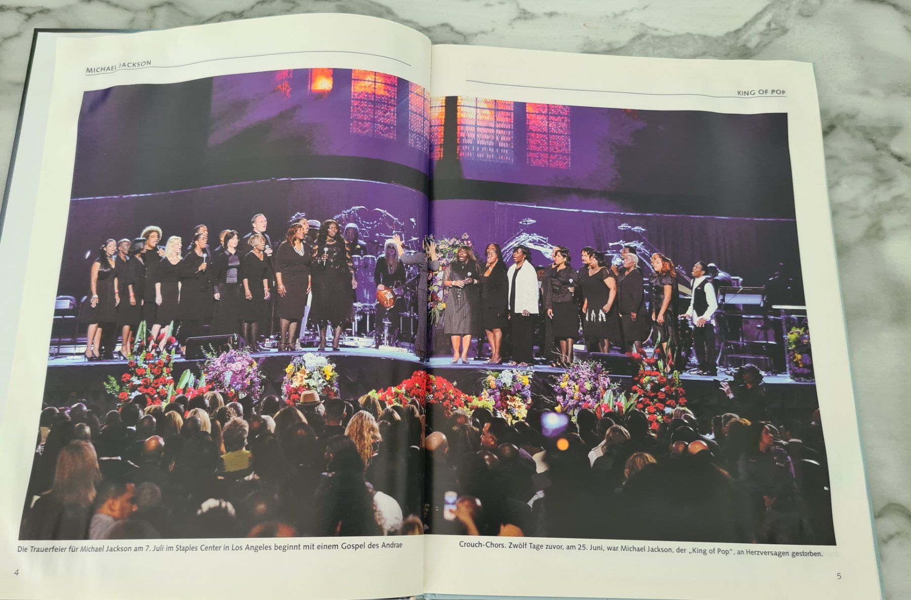 Libri: Buch Michael Jackson King of Pop 2009 – Usato da Winterthur venduto da bibummi 5