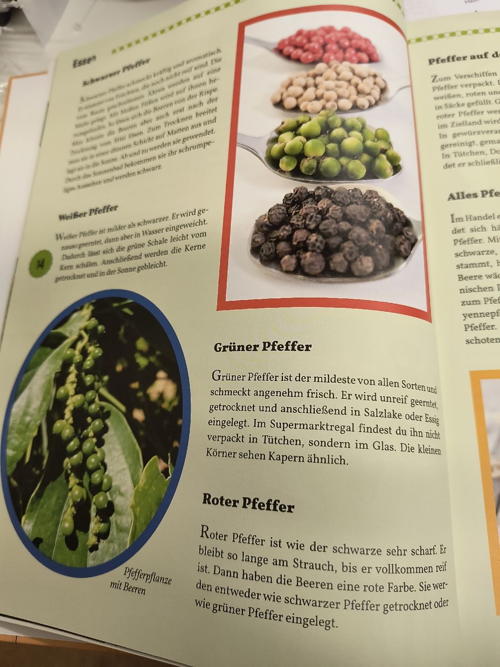 Libri: Wo kommt das her? Kinderbuch – Usato da Schöfflisdorf venduto da kin_2dp9 4