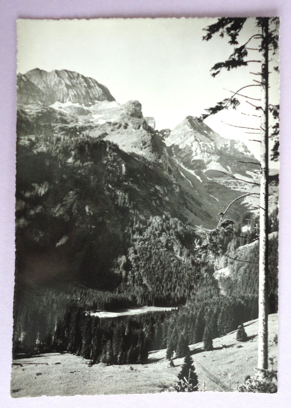 Cartoline postali: Voralpsee Grabs – Usato da Fétigny venduto da Billy2miny