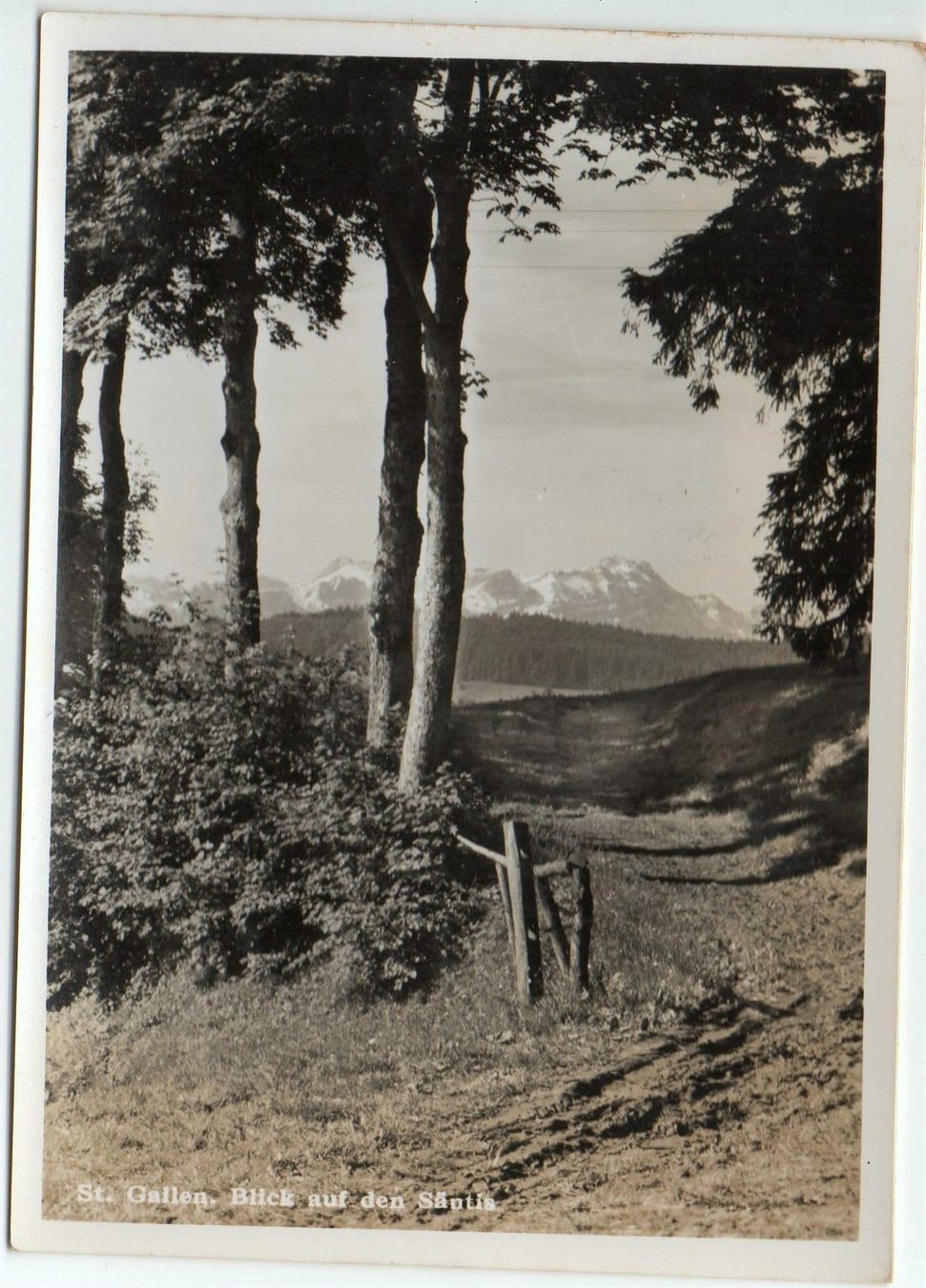 Cartoline postali: ST. GALLEN Blick auf den Säntis – Usato da Jona venduto da philajona