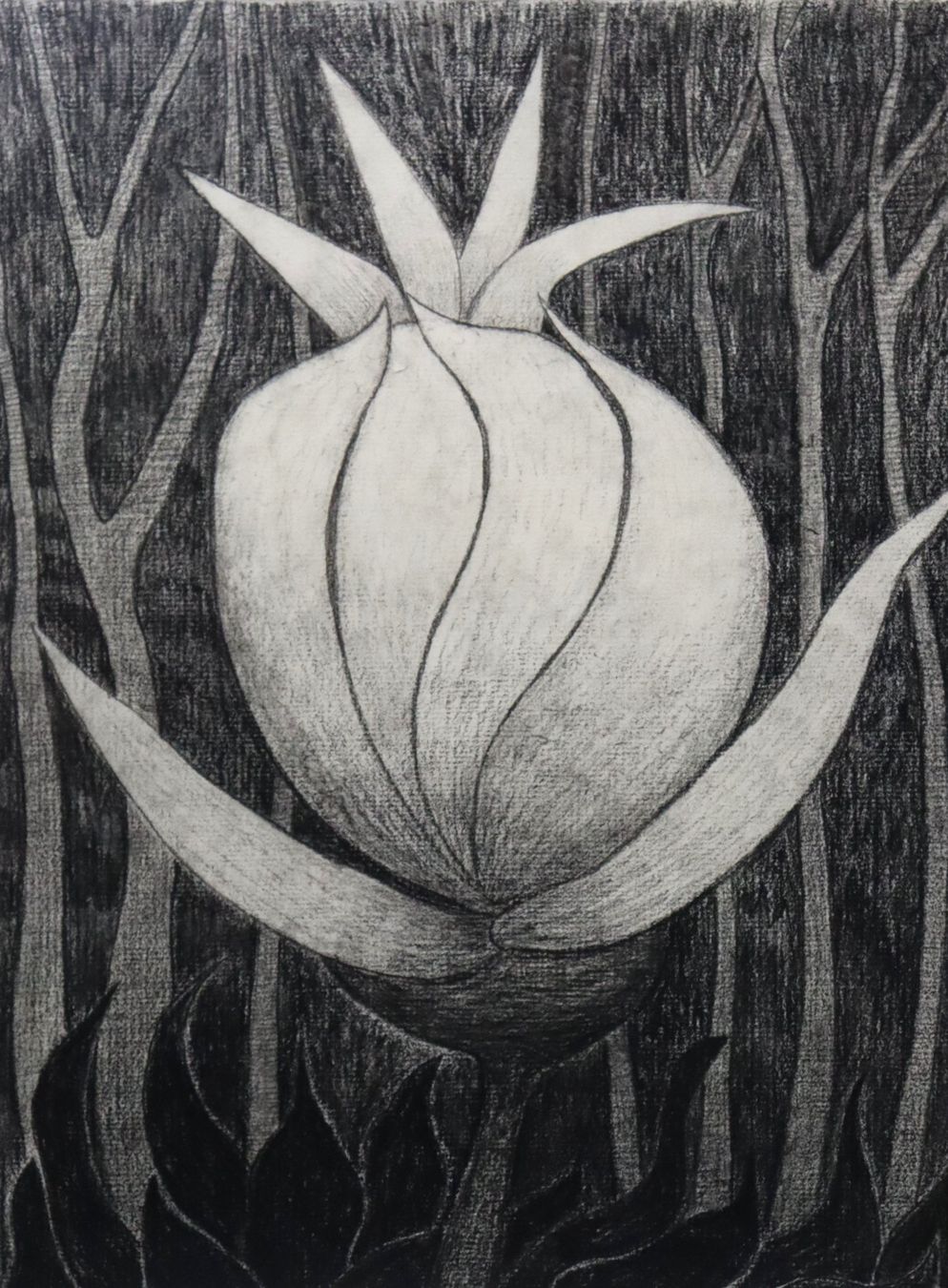 Dipinti: Monika Buchmann-Helbling 1925-2004, Kohlestift "Knospe" – Usato da Zug venduto da Kunst-Fundgrube 1