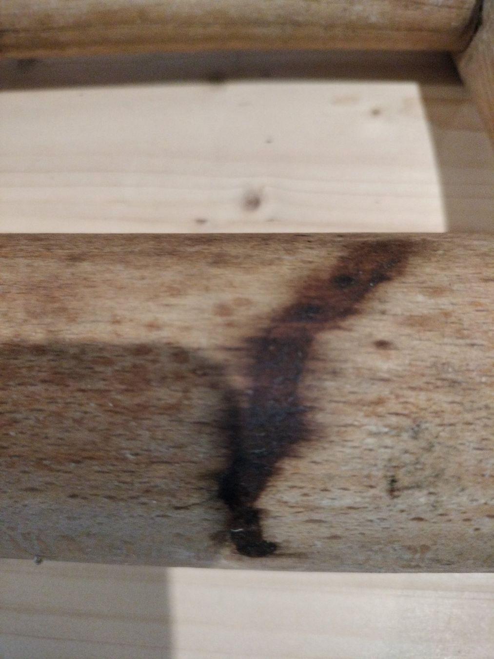 Elettrodomestici da cucina: Teigroller Wallholz Antik – Usato da Gansingen venduto da Lisa-Jane 2