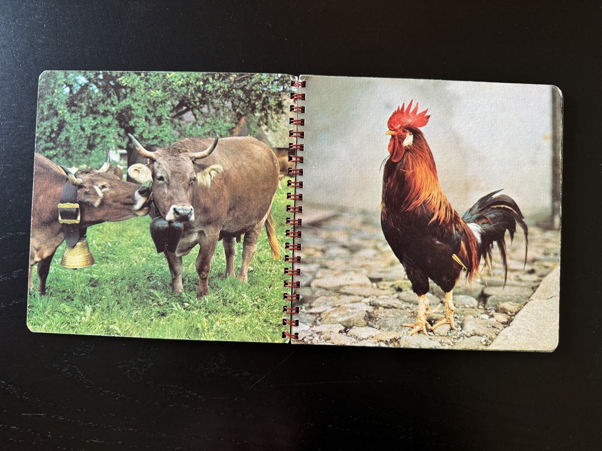 Bücher: "Unsere Haustiere" - Nostalgisches Kinderbuch – Gebraucht aus Erstfeld von Mario_boe0 1