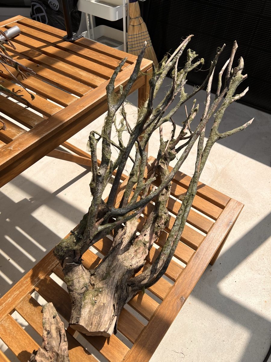 Acquari: Aquarium Holz  – Usato da Walkringen venduto da ise_v5dn 3