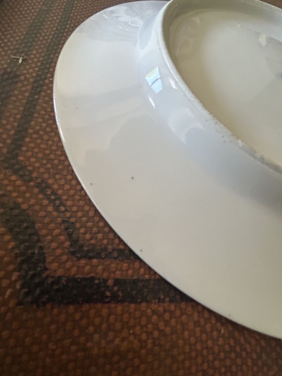 Assiettes: Deko Teller  – D'occasion à Bülach par larson27 7