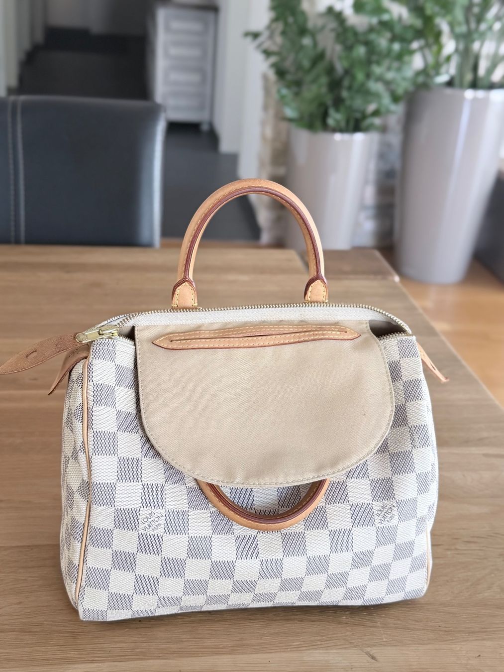 Louis Vuitton Borse da donna: Louis Vuitton Speedy 25 – Usato da Reinach AG venduto da RobbisB 7