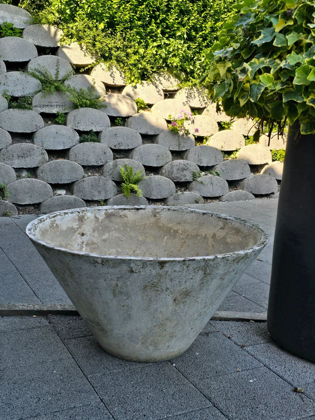 Eternit Vasi per fiori: Grosser Eternitpflanzkübel  71cm Durchm. – Usato da Walkringen venduto da Vanuca 6