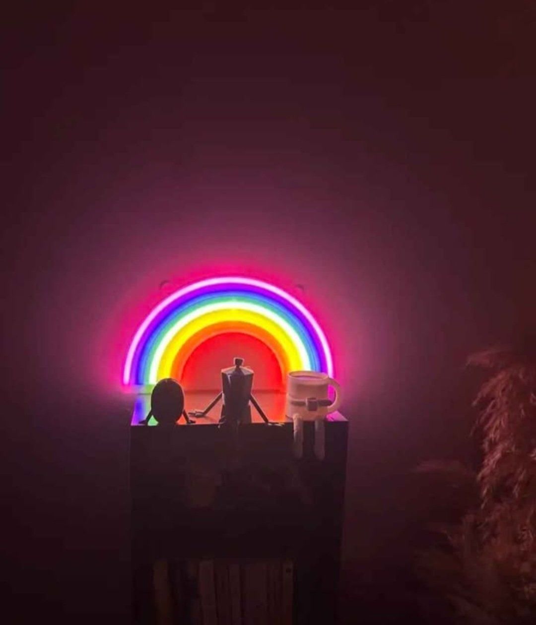 Tutte le decorazioni: Led arc en ciel – Usato da Vevey venduto da sev_nw9m 2