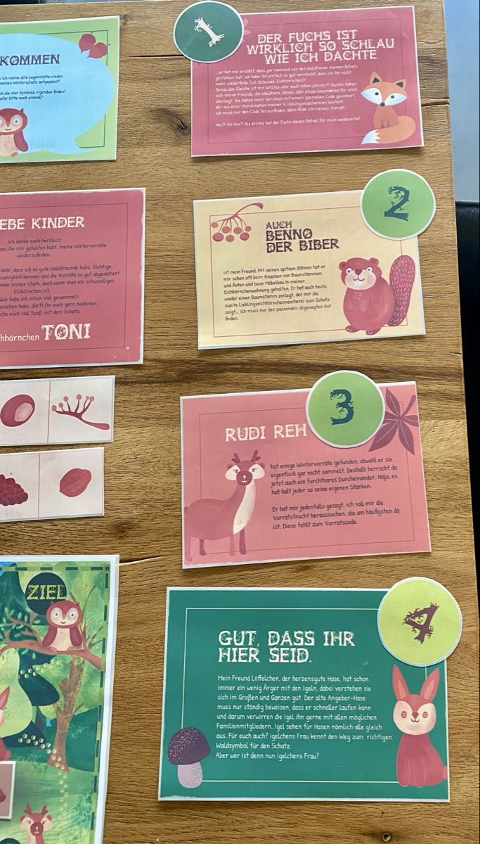 Giochi: Schatzsuche, Thema Waldabenteuer – Usato da Thalwil venduto da val_bm5t 3