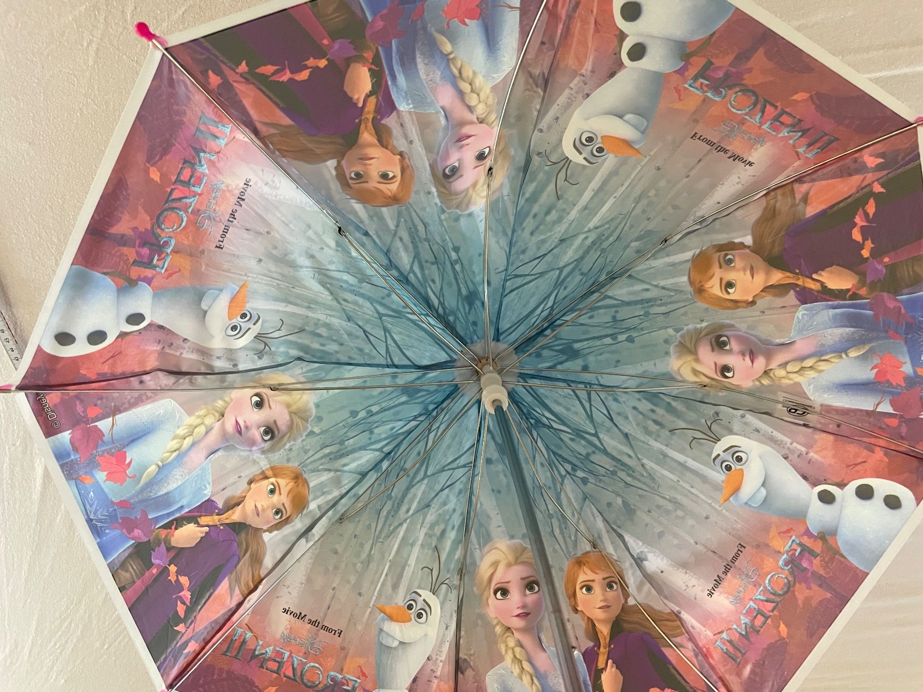 Altro per bambini: Kinder-Regenschirm: Frozen – Usato da Cham venduto da 2eye 1