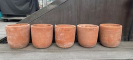 5er Set Antico Mestiere Terrakotta Blumentöpfe Ø 19 cm
