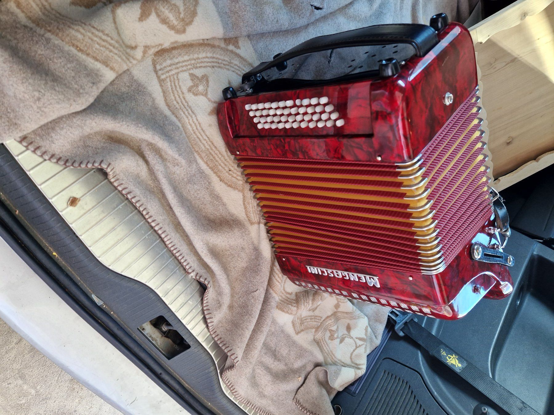 Electro-Harmonix Strumenti musicali: Akkordeon – Usato da Neuenegg venduto da bachopa1 1