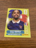 Panini Fra 16
