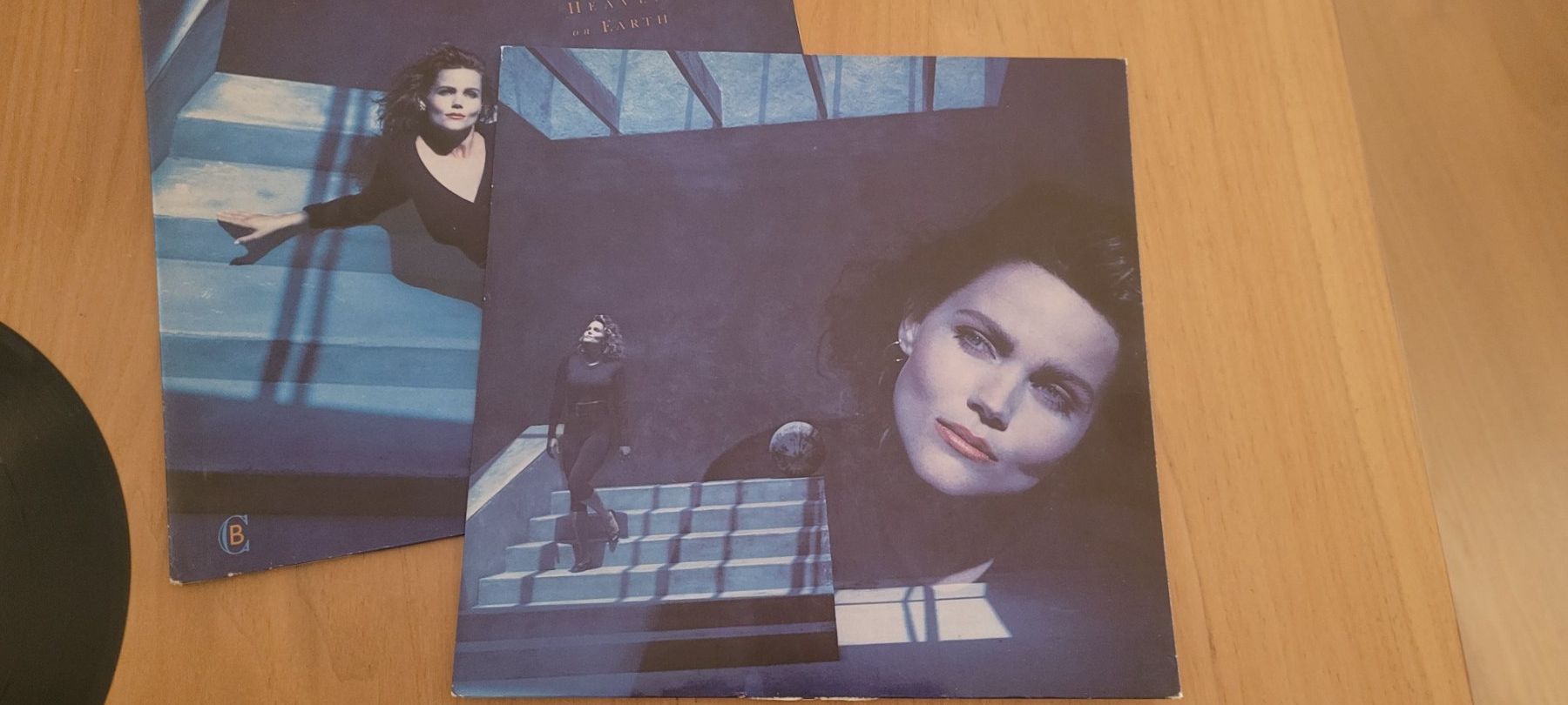 Dischi in vinile: LP  Belinda Carlisle – Usato da Martigny venduto da MZ-67 2