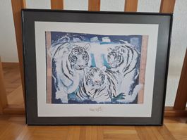 Bild Rolf Knie weisse Tiger mit Rahmen 49x61cm guter Zustand
