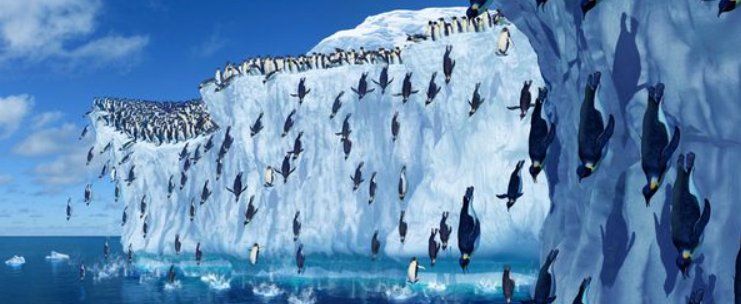 Tutti i DVDs: Happy Feet - DVD – Usato da Dietikon venduto da Ruempfli 6