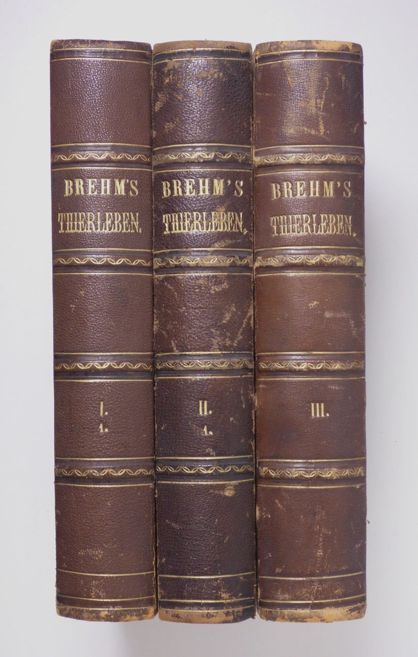 Libri: Brehms Thierleben (Tierleben) 3 Bände. – Usato da Erschwil venduto da taglang