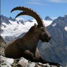 Profile image of Arni41