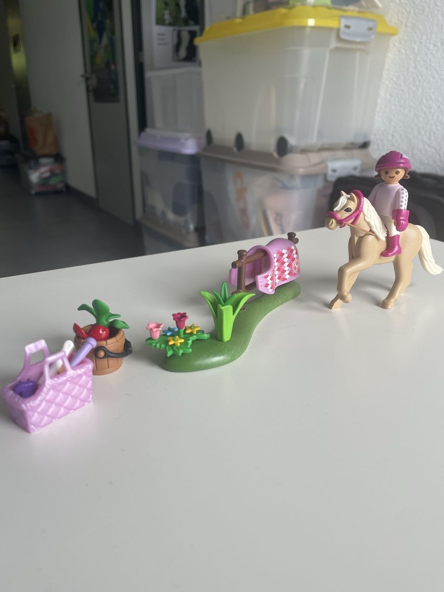 Playmobil Giocattoli: Playmobil Spirit – Usato da Montsevelier venduto da Leamnoev