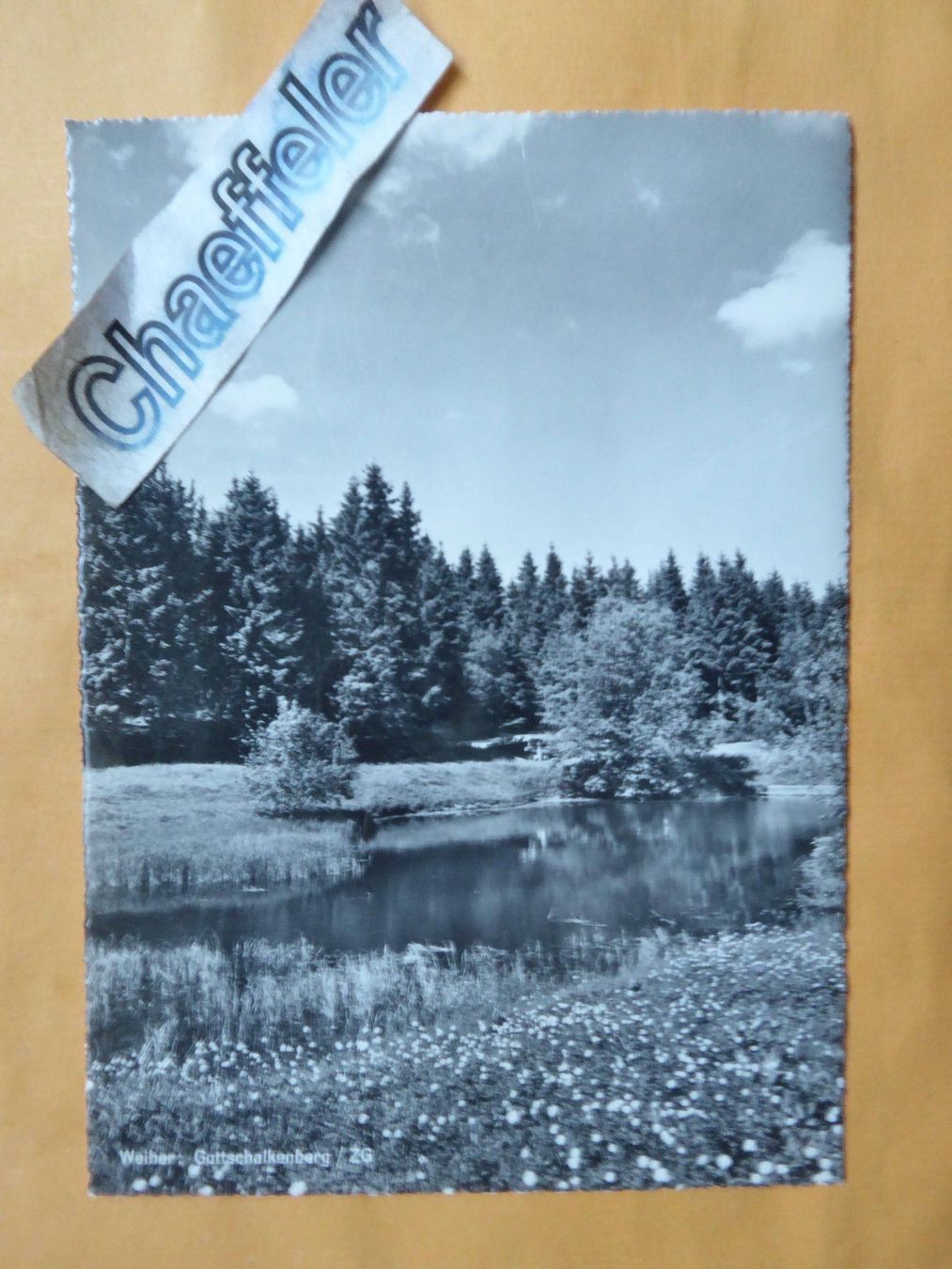 Cartoline postali: Weiher: Gottschalkenberg / ZG – Usato da Zürich venduto da Chaeffeler