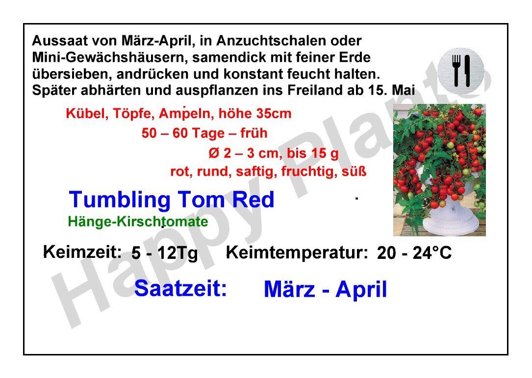 Piante & sementi: Tumbling Tom Red - Hänge-Kirschtomate - 25 Samen – Nuovo e nell'imballaggio originale da Sumiswald venduto da Cham14559 2