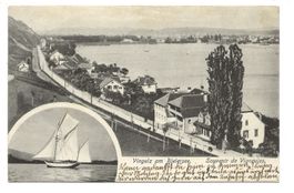 Vingelz am Bielersee - Vigneules - Biel - 1907