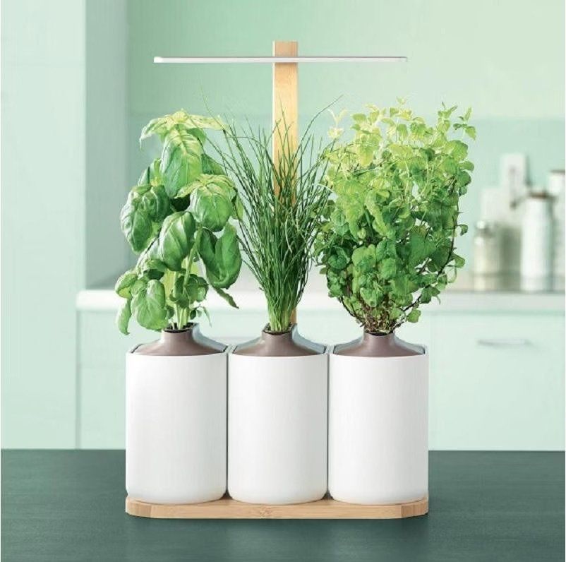 Blumentöpfe: Lilo Connect - Potager autonome compact et design – Gebraucht aus St-Sulpice VD von Revali2017