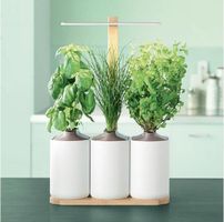 Lilo Connect - Potager autonome compact et design