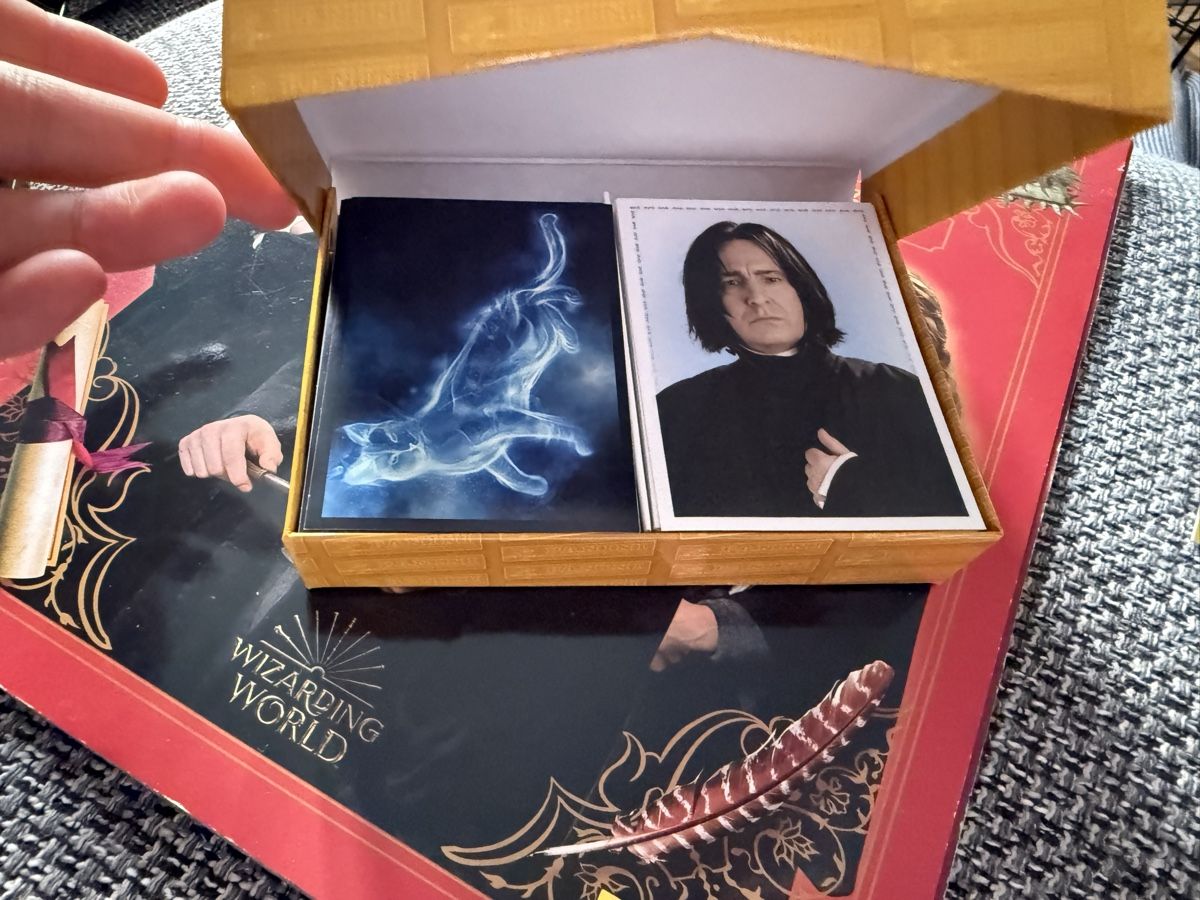 Panini Carte collezionabili: Harry Potter Panini Bilder – Usato da Zürich venduto da zuerich16 6