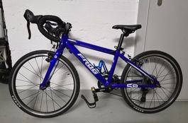 Rennvelo Kinder Frog 58 Road