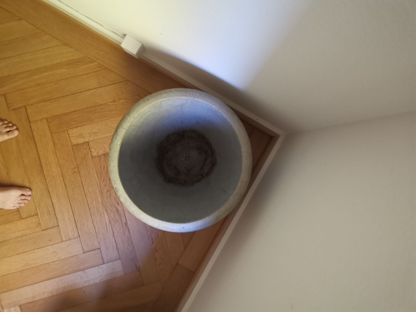 Vasi per fiori: Betontopf – Usato da Zürich venduto da Valouche 1