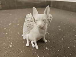 Chihuahua Engel
