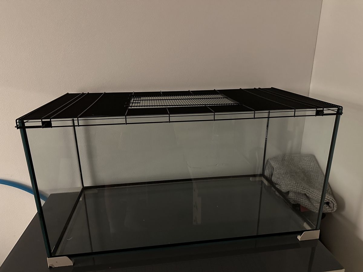 Terrario: Terrarium mit Gitteraufsatz – Usato da Wittenbach venduto da ssp_m8bh