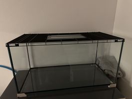 Terrarium mit Gitteraufsatz