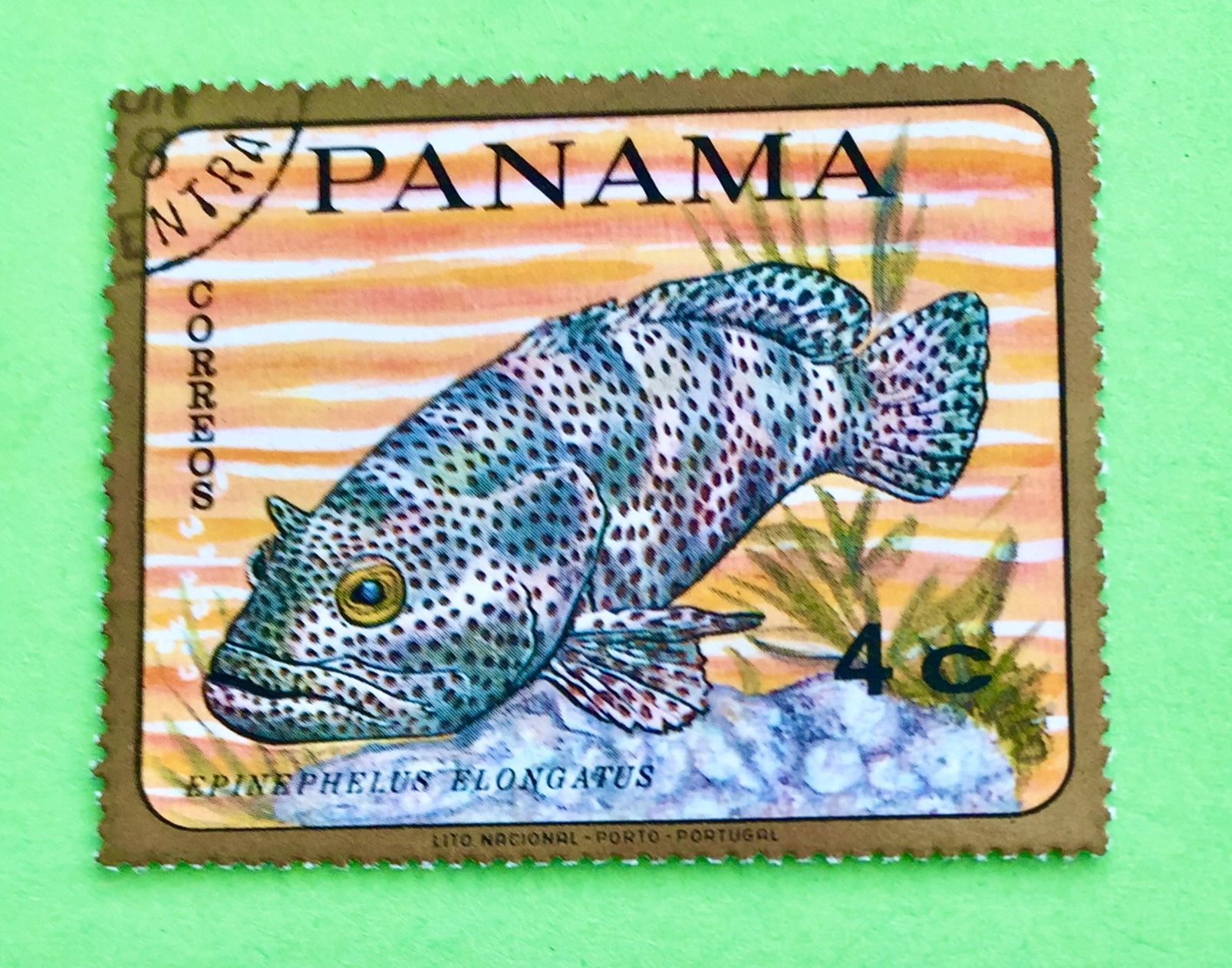 Tutti i francobolli: Briefmarken aus Panama Tropical Fish  gestempelt   – Usato da Aarau venduto da Angi-007