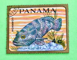 Briefmarken aus Panama Tropical Fish  gestempelt  