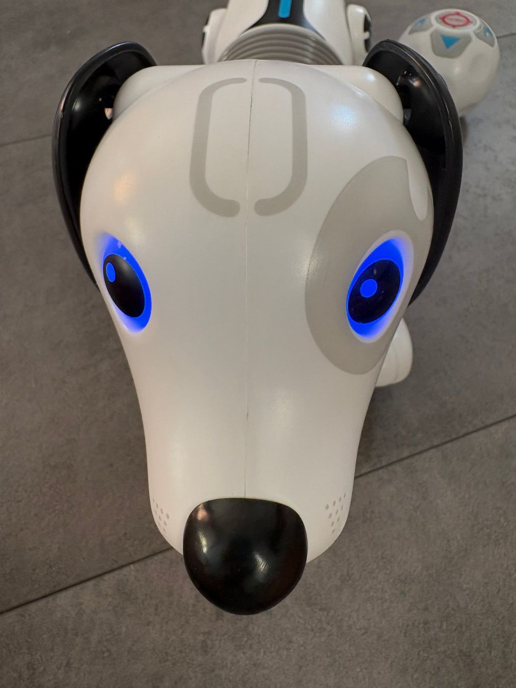 Giocattoli: Spielhund ferngesteuert – Usato da Arnegg venduto da hausspatz 5
