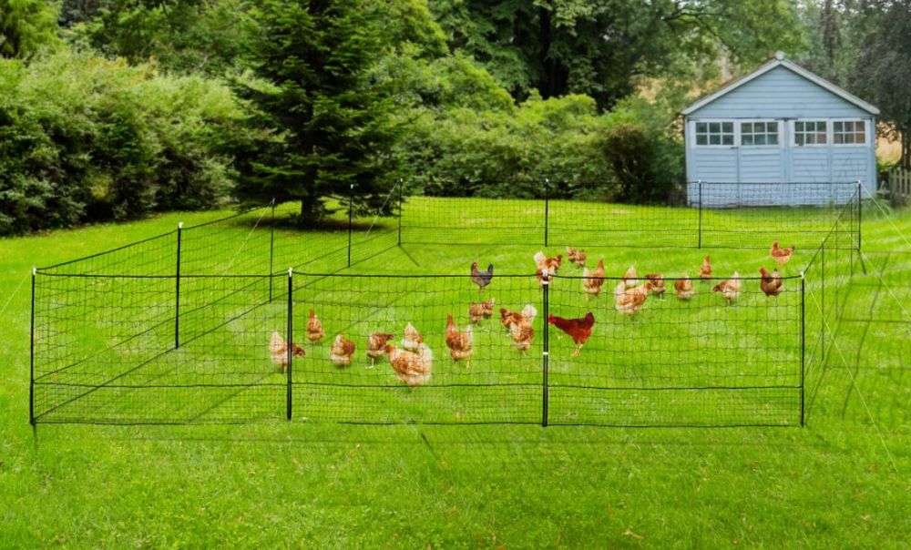 Yardwe Hühnerzaun Aus Grün Beschichtetem Draht - 40m X 40cm, Sechseckiges Gitter Für Garten & Tierhaltung