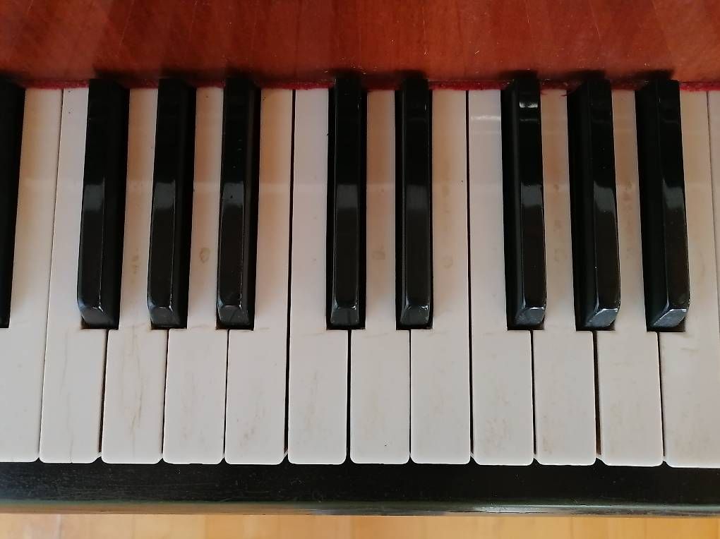 Strumenti musicali: Gratis Klavier / Piano – Usato da Altnau venduto da chstac 4